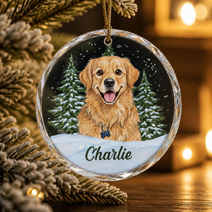 Custom Pet Portrait Crystal Ornament — Wreath Snowfall - Personalized Crystal Ornament 2439c9b3-b76f-476e-9b38-782814ed9278.jpg