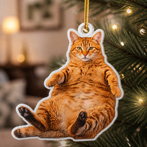 Custom Pet Photo Cutout Ornament – Acrylic Silhouette - Personalized Custom Shape Wood and Acrylic Ornament 2557f3be-4349-4da5-a99c-781efaee4e75.jpg