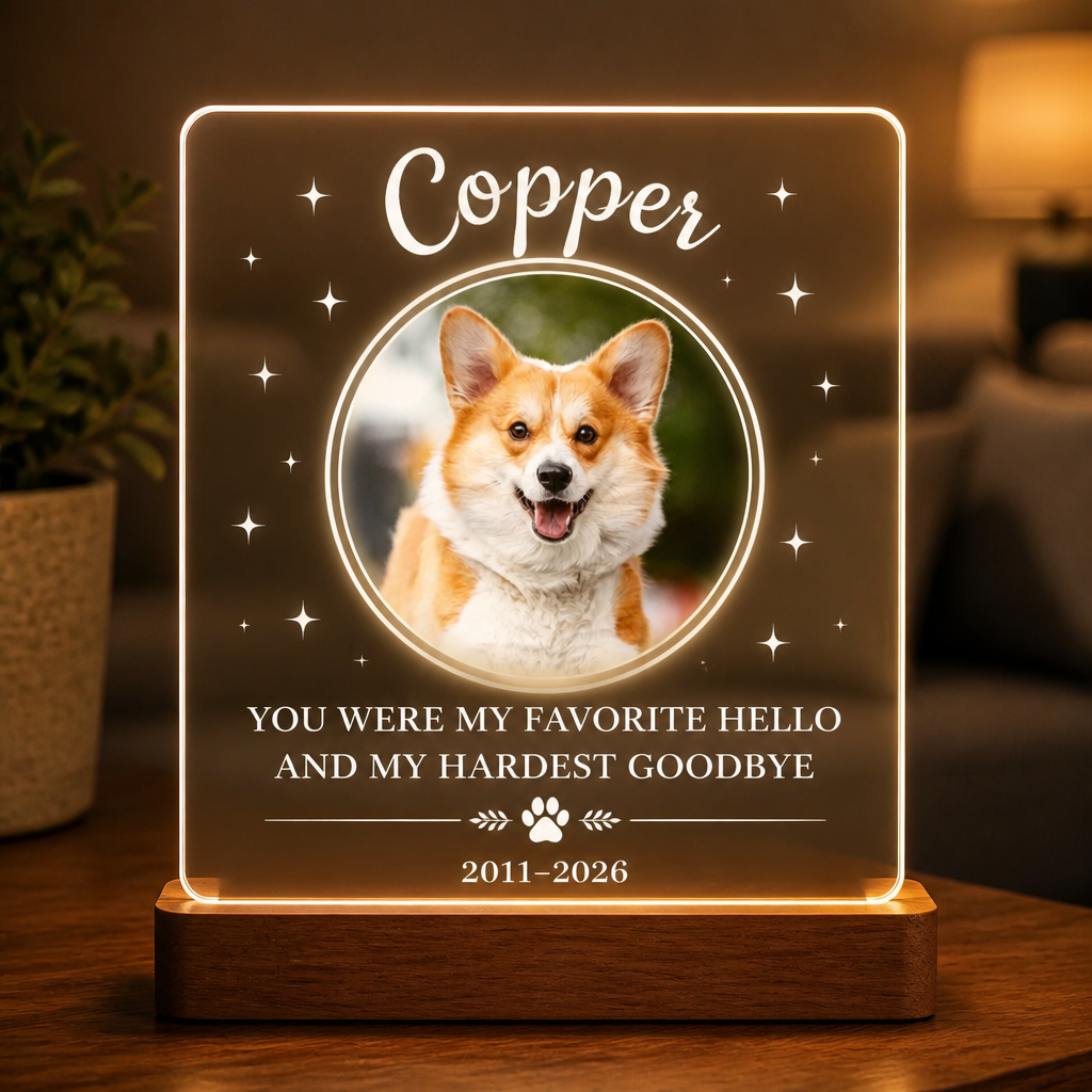 Pet Memorial LED Acrylic Light — Favorite Hello Hardest Goodbye - Personalized 3D LED Light Wooden Base 25cfced0-bad3-4e67-a88d-103fb37b0235.png