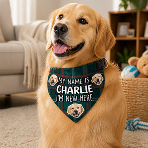 New Puppy Intro Photo Bandana – My Name Is [Pet Name] - Personalized Pet Bandana Collar With Adjustable Buckle 260444ff-cdf5-4528-98b2-e45ed97e0c20.jpg