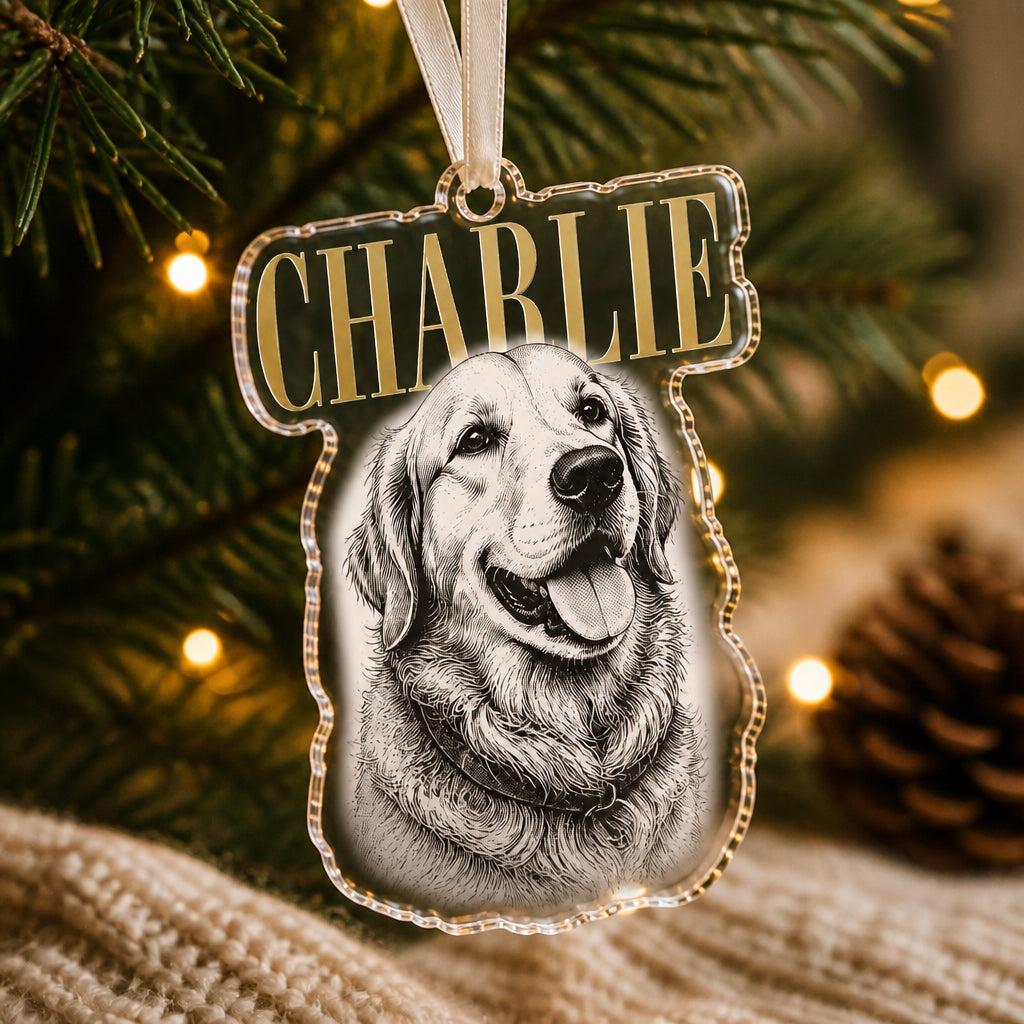 Custom Pet Name Etched-Style Acrylic Ornament - Personalized Transparent Acrylic Ornament 2607ab40-1890-4cb8-b333-fbf67de5e220.jpg