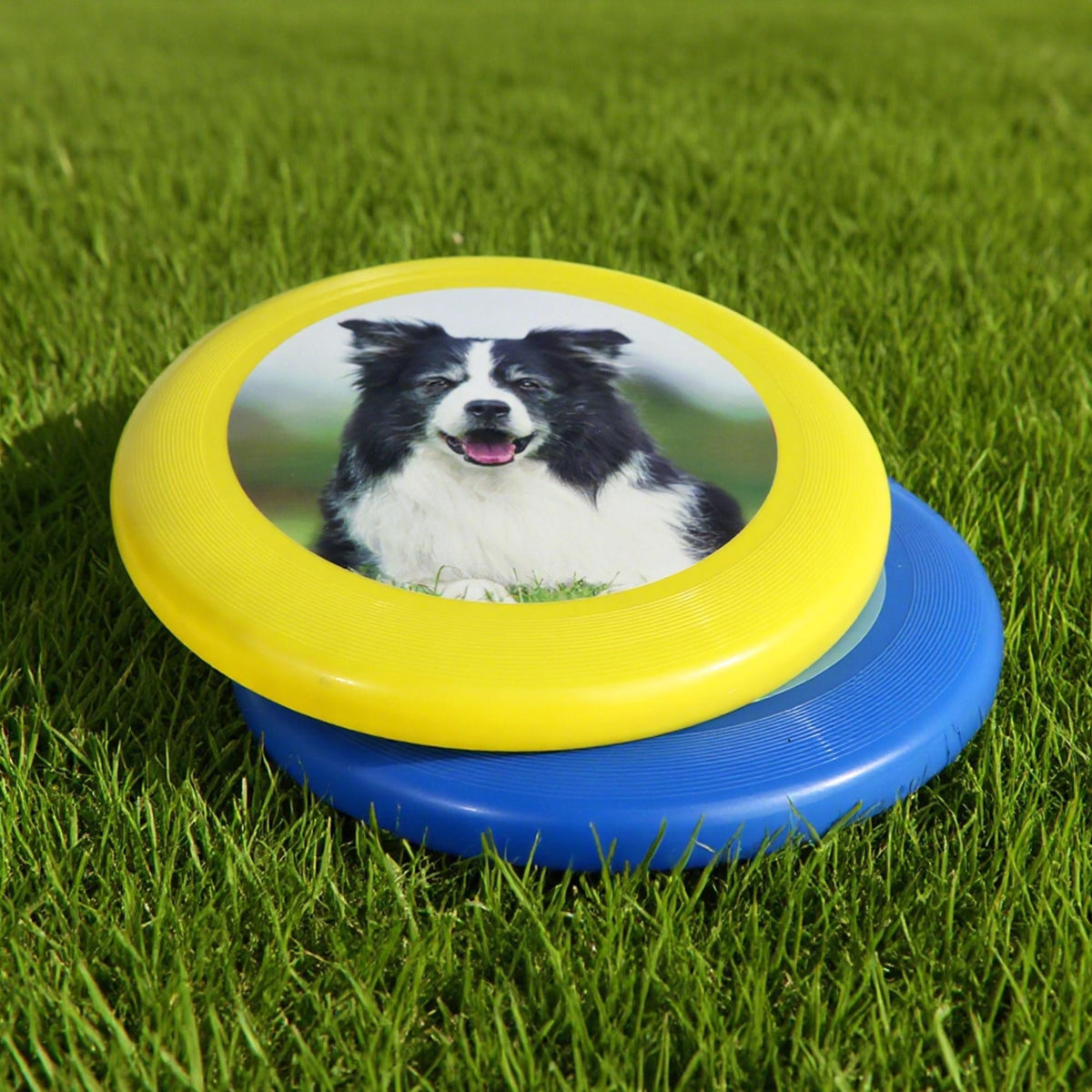 Custom Photo Frisbee, Personalized Plastic Frisbee, Perfect Gift For Outdoor Sports Enthusiasts, Unique Custom Photo Frisbee