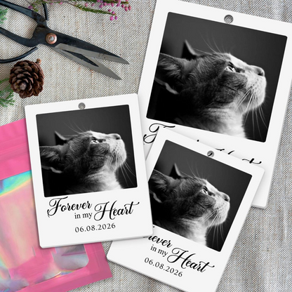 Personalized Pet Photo Car Air Freshener, A Meaningful Keepsake with Photo, Cat Memorial Gifts, Dog Sympathy Gift, Pet Portrait Car Freshie