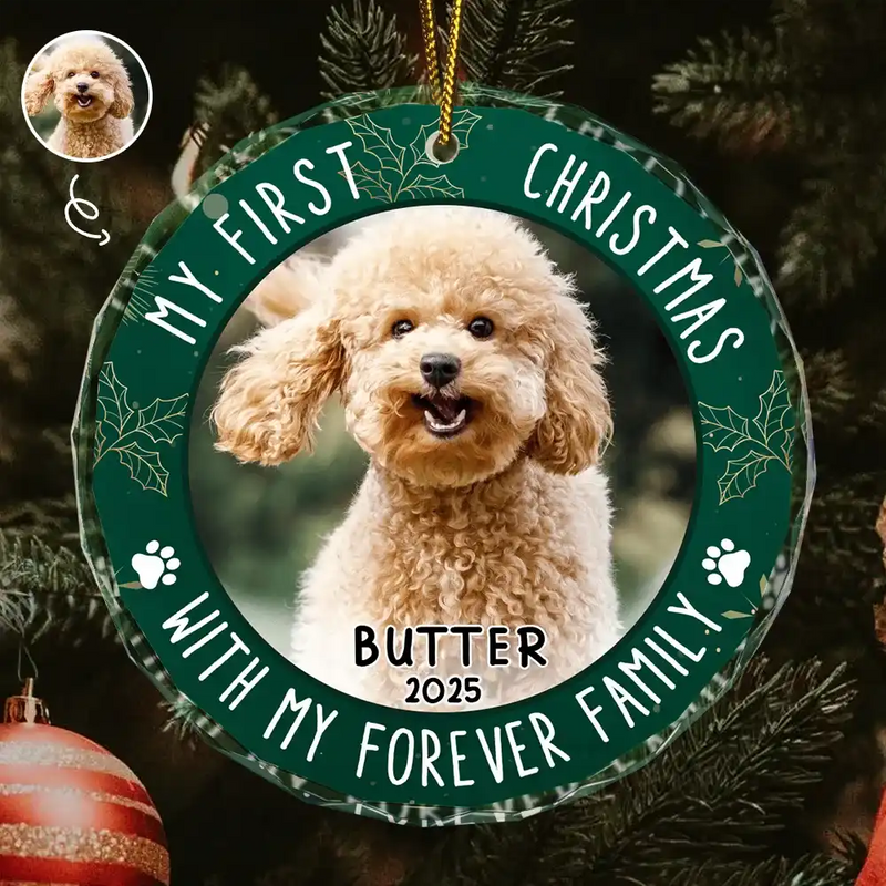 First Christmas With Family - Personalized Crystal Ornament - Gift For Pet Lovers