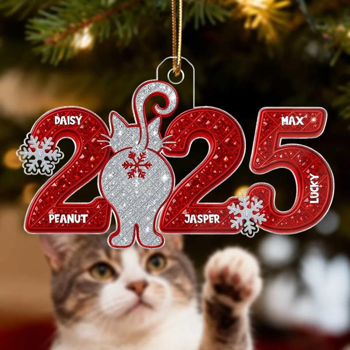 3D Shining Effect Christmas Cat Custom Names - Personalized Acrylic Ornament, Perfect Gift for Cat Lovers to Celebrate the Holiday Season
