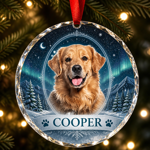 Custom Pet Photo Crystal Ornament – Winter Night Cameo - Personalized Crystal Ornament 2ac60fdd-5e31-4f5f-add8-24c67bd36e90.png