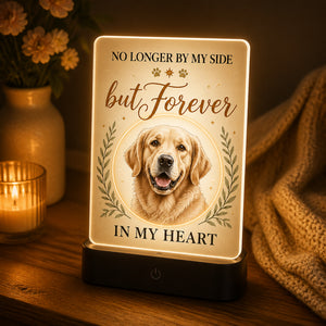 Pet Memorial Acrylic Night Light — No Longer By My Side - Personalized Acrylic Night Light 2eae1b84-9e13-4084-aef6-e23a4a5fc6b5.jpg
