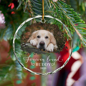 Personalized Pet Memorial Photo Ornament: Dog Sympathy Gift, Dog Lover 3015bb0f-cf5e-4014-a699-caa8d95a0e7e-il_fullxfull.7484107227_3xv1.jpg