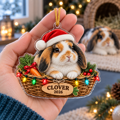Personalized Lop Rabbit Christmas Ornament – Custom Name & Year, Bunny in Hay Basket Keepsake, Christmas Gift for Rabbit Lovers 30709766-4903-4557-adf5-ab70e51c3314-Tricolor-rabbit-Christmas-ornament-in-hand-3.png