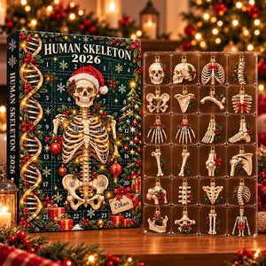 Human Skeleton Advent Calendar 2026, Anatomy Christmas Countdown Box, 24 Bone Ornaments, Medical Science Holiday Decor, Student Gift 2026 3074b6e0-02ac-4d3c-823b-71245ffba55e-il_794xN.8648449660_onty.webp