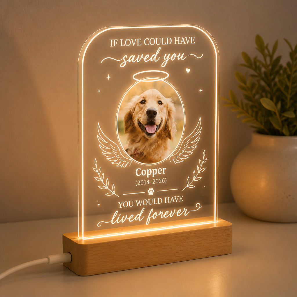 Pet Memorial Angel Wings Acrylic Night Light – Photo, Name & Years - Personalized Acrylic Night Light 311cc353-43d9-4ac4-9b2e-69bb836c6bff.jpg