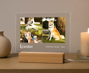 Personalized Pet Memorial LED Night Light — Custom Dog or Cat Photo Sympathy Gift 3135ade3-581f-4ca5-8a82-c8f25210c25a-fssfsffs-3-.jpg