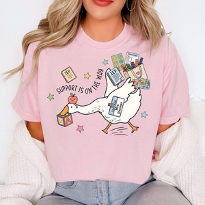 Comfort Colors Silly Goose Special Education Teacher Shirt, Funny Special Education Teacher Gift, SPED Teacher Shirt, Special Ed Team Shirt 31a9cc8c-7382-4d96-ad12-9bfd1ebb6fab-1.png