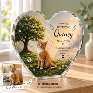 Personalized Pet Memorial Acrylic Block, Custom Cat Photo Keepsake, 2D Printed Rainbow Bridge Remembrance 327ca690-4ab4-4f3d-8d8d-001fdd6159d3-K-ni-m-Quincy-tr-n-n-s-i.png