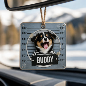 Custom Pet Mugshot Aluminum Ornament (Photo + Name) - Personalized Aluminum Ornament 328e2599-fed4-448b-95ae-914d199f7cd3.jpg