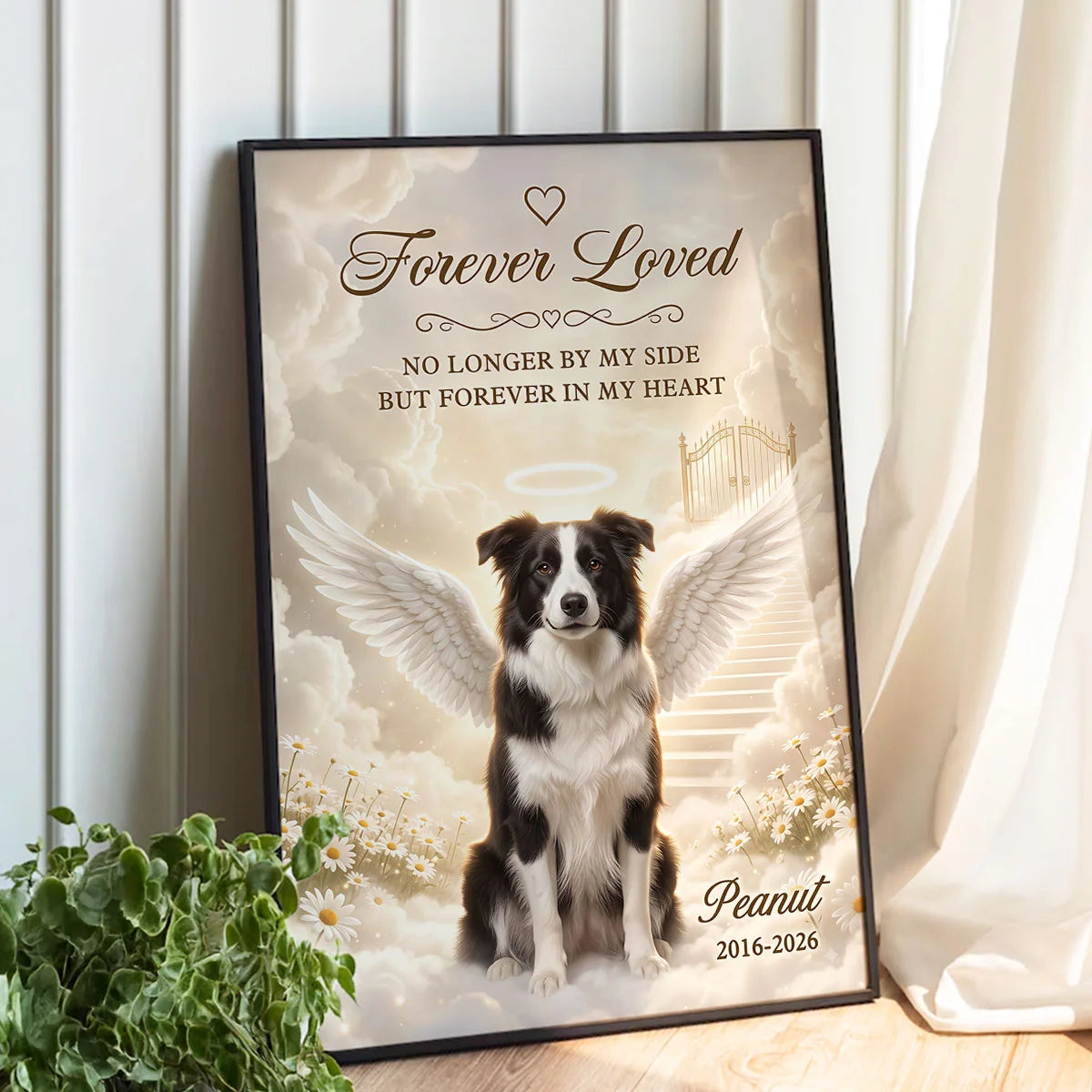 Custom Pet Loss Remembrance Picture Frame - Forever In My Heart Dog Memorial Gift - Personalized Border Collie Angel Picture 33a99dec-d374-4f42-83a9-4d4623505135-GGut7tFhdk__pod320260813916_web-9.webp