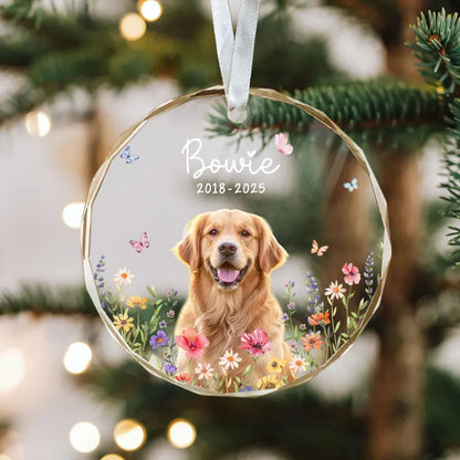 Personalized Dog Memorial Ornament with Photo, Dog Remembrance Keepsake, Glass Ornament 3420d52e-bf5a-45fc-8b5d-4337614f95cd-hgghgh-3-.webp