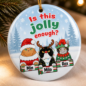 Is This Jolly Enough? Custom Pet Portrait Ornament (3 Pets) - Personalized Ornament 3548f300-828a-4626-a8bf-3f6c40291c2e.jpg
