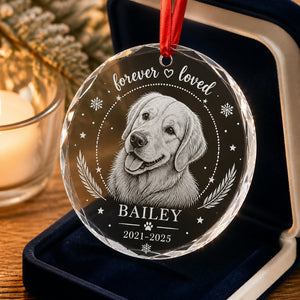 Pet Memorial Crystal Ornament – Upload Photo, Name & Years - Personalized Crystal Ornament 372707f9-e9c4-41dc-8311-148eba4db9de.jpg