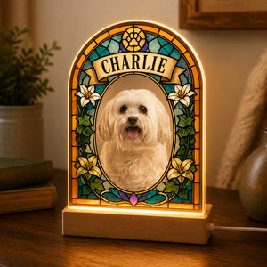 Custom Pet Photo Stained-Glass Arch LED Night Light with Name - Personalized 3D LED Light Wooden Base 37c262f9-ebc9-402f-94b6-60cb0060a8f3.jpg
