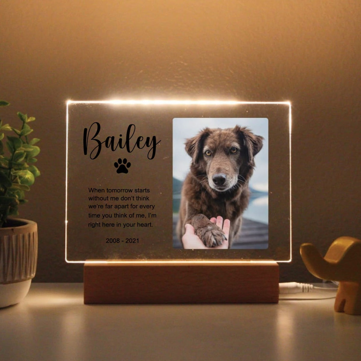 Pet Memorial Custom Photo LED Wooden Base, Pet Sympathy Gift, Personalized Gifts for Pet Loss