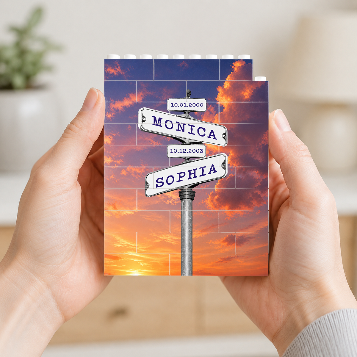 Personalized Family Names Date of Birth Vintage Street Sign - Personalized Shaped Building Brick Blocks