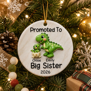 Promoted To Big Brother Big Sister - Real 3D Raised Ornament