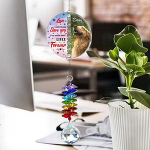 Personalized Dog Photo Memorial Ornament with Crystal Prism, Custom Pet Name Ornament, Smiling Dog Window Decor, Rainbow Maker Memorial Gift
