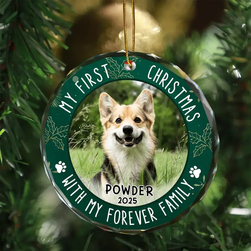 First Christmas With Family - Personalized Crystal Ornament - Gift For Pet Lovers