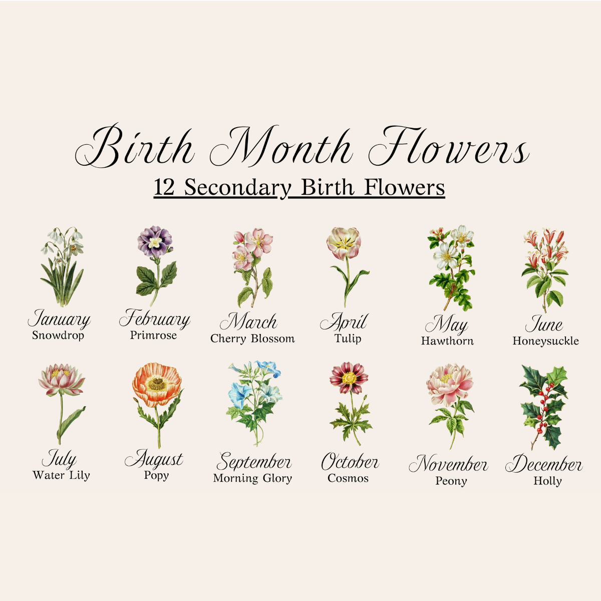 Custom First Mom Now Grandma Gift, Grandma's Garden Sign, Mother's Day Gift For Grandma, Birth Month Flower Prints, Family Flower Painting