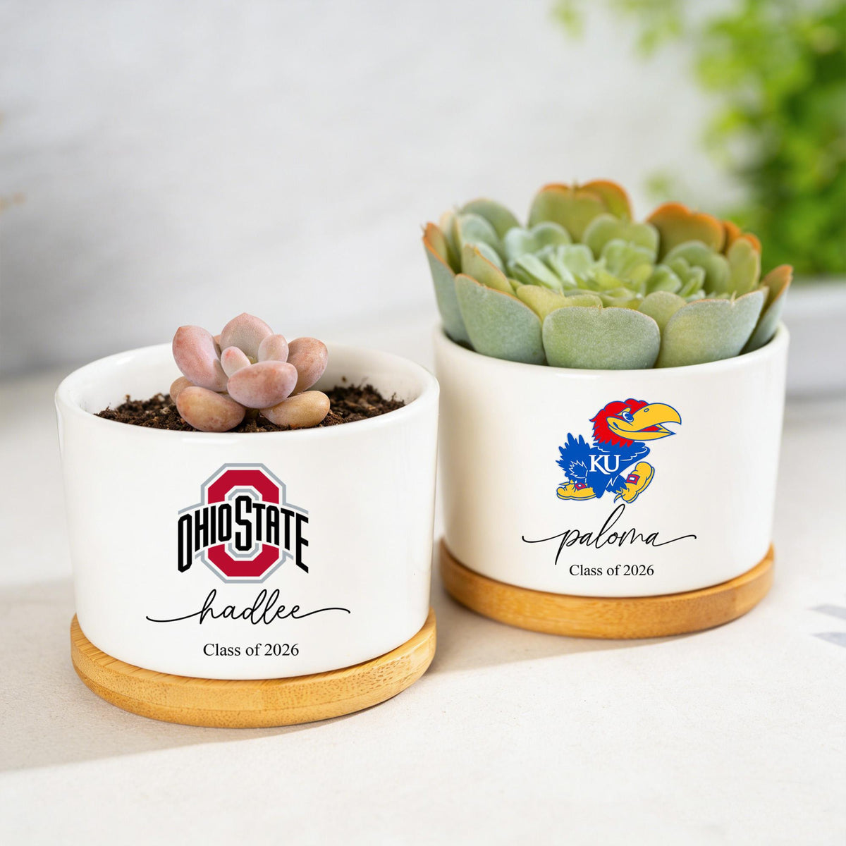 Personalized College Logo Plant Pot, University Pride Ceramic Pot, Custom 2026 Graduation Gifts, Class of 2026, College High School Grad Gifts