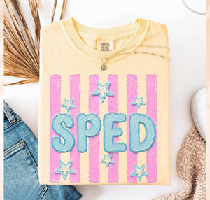 Retro Striped Fourth Grade Teacher Shirt, Back To School 4th Grade Teacher Tshirt, Elementary School Tee Pre Kinder Tee Faux Handpainted Top