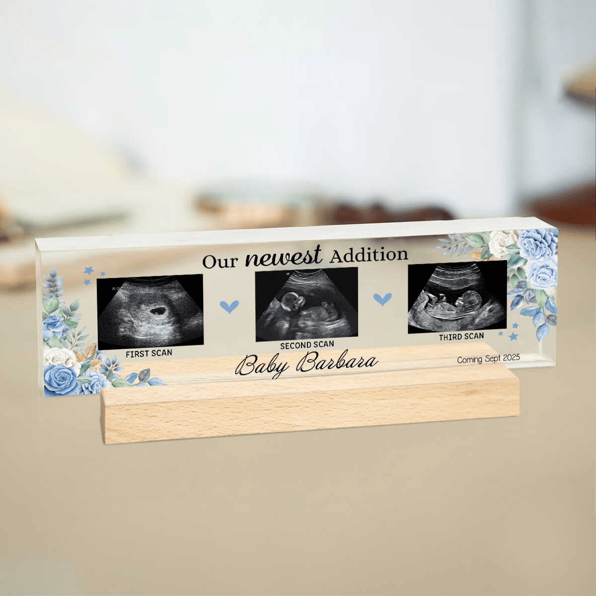 Our Newest Addition - Personalized Name Plate - Gift For New Mom Dad, Mother's Day Gift