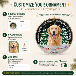 Favorite Hello Hardest Goodbye - Pet Photo Memorial Ornament - Personalized Transparent Acrylic Ornament 3add53e4-1b77-4d07-9137-d3071026ceb0.jpg