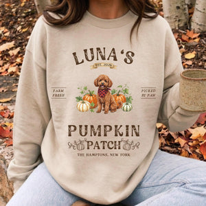 Personalized Poodle Halloween Sweatshirt, Toy Poodle Shirt, Pumpkin Dog Sweater, Custom Pet Gift for Poodle Mom 3e0746f2-435d-47b5-b204-619af98fb690-1.jpg