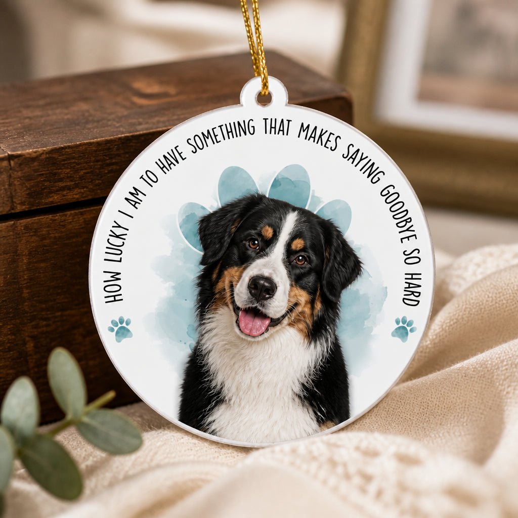 Pet Memorial Photo Ornament – "How Lucky I Am…" - Personalized Aluminum Ornament 3e14bff4-1de4-4e29-8761-75f32cd07158.jpg