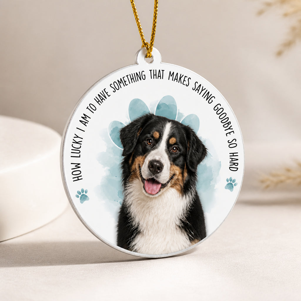 Pet Memorial Photo Ornament – "How Lucky I Am…" - Personalized Aluminum Ornament 3e5f0a06-b466-49c1-b53e-825ce59c245f.jpg