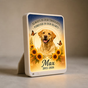 Pet Memorial Night Light with Photo — Sunflower & Butterfly Tribute - Personalized Acrylic Night Light 40f4f3e5-383e-4bc0-b128-54f0dedeb423.jpg