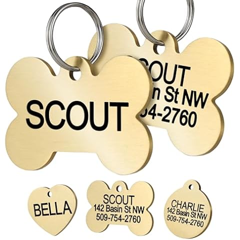 Go Tags Stainless Steel Pet Personalized Dog Tags and Cat Tags, up to 8 Lines of Custom Text, Engraved on Both Sides, in Bone, Round, Heart, BowTie and More
