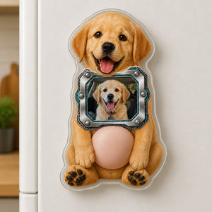 Custom Pet Photo Metal-Bezel Fridge Magnet - Personalized Acrylic Refrigerator Magnet - Soft Rubber Belly 42ffc907-7d78-4b32-bd46-d8d4ffb77183.jpg