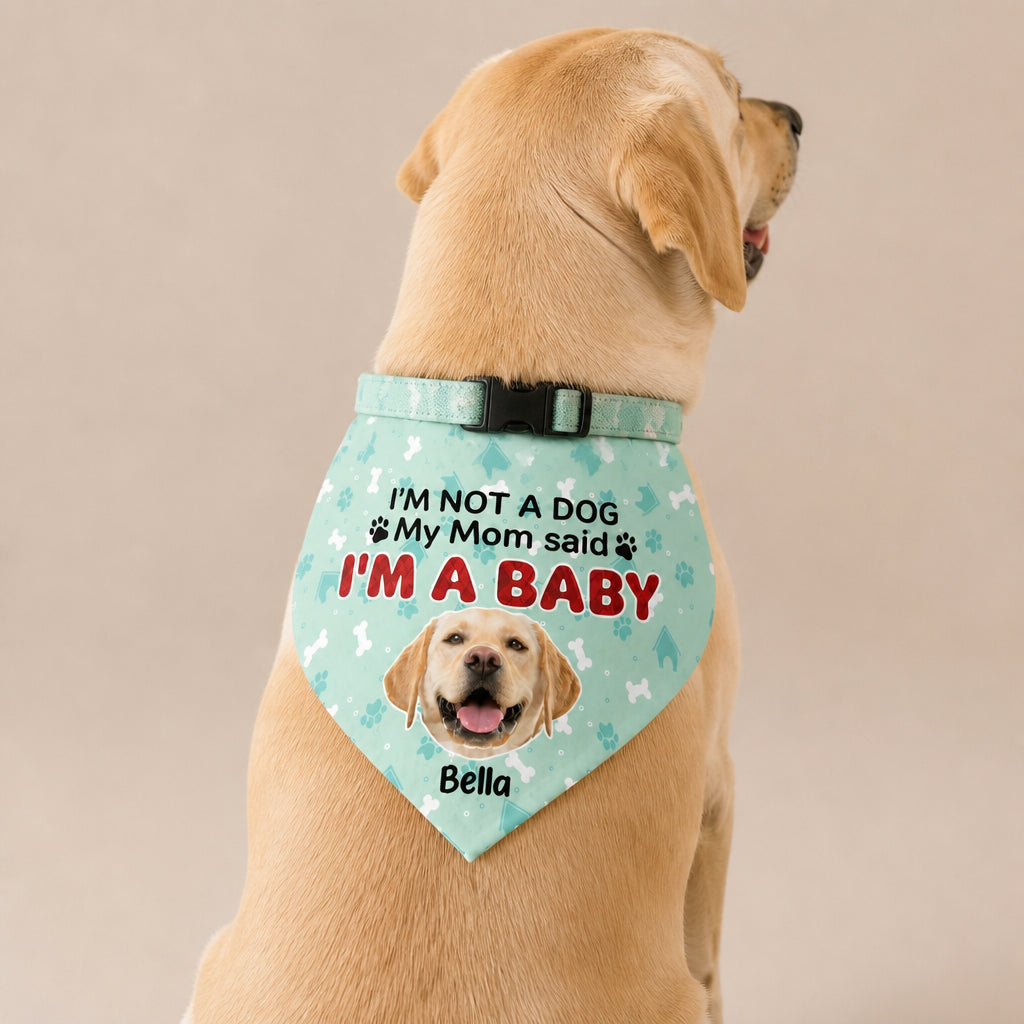 Dog Mom Baby Bandana – Photo + Name - Personalized Pet Bandana Collar With Adjustable Buckle 43766358-cc2b-4d47-bea4-d350cbb76460.jpg