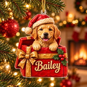 Personalized Dog Christmas Ornament – Custom Pet Photo & Name, 3D Relief Gift Box Ornament, Christmas Gift for Dog Lovers 43998da8-dac9-4da1-887b-d685c39426b8-Bailey-Puppy-Gift-Box-Ornament-1-1-.png