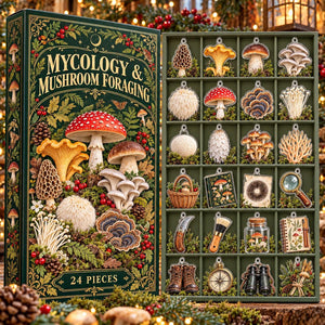 Mushroom Foraging Advent Calendar, 24 Acrylic Fungi Ornaments, Mycology Gift, Woodland Christmas Countdown Box, Mushroom Lover Christmas 43bd638c-9b4d-4e9f-a8e4-add81c452f8e-il_1588xN.8650336627_6bsa.jpg