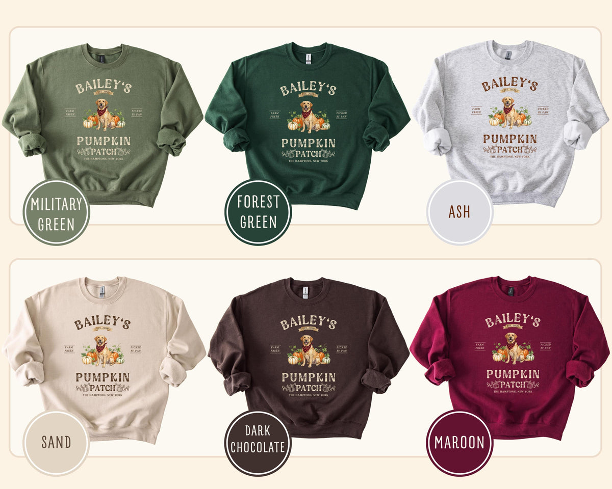 Personalized Poodle Halloween Sweatshirt, Toy Poodle Shirt, Pumpkin Dog Sweater, Custom Pet Gift for Poodle Mom 4520949e-f469-4084-bdf2-6169615a1dbd-11.jpg