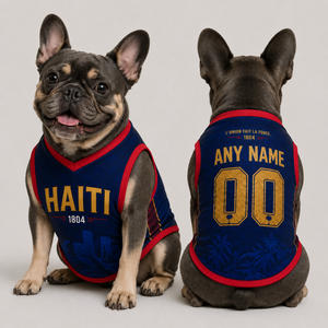 Custom Haiti Pet Jersey, Personalized Soccer Jersey, Haiti Pet Jersey, Pet Gift Jersey