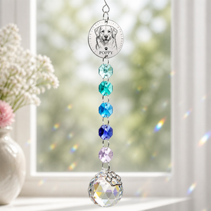 Custom Pet Portrait Rainbow Suncatcher with Name - Personalized 1 Layered Suncatcher with Charm 48429711-aaba-4d80-9929-a3f0b56fcdb3.png