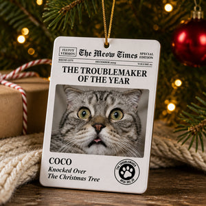 Cat Chronicle Troublemaker Of The Year – Custom Pet Photo Ornament - Personalized Aluminum Ornament 48bf56ba-3f9c-4200-b3e2-f82d5b869da0.jpg