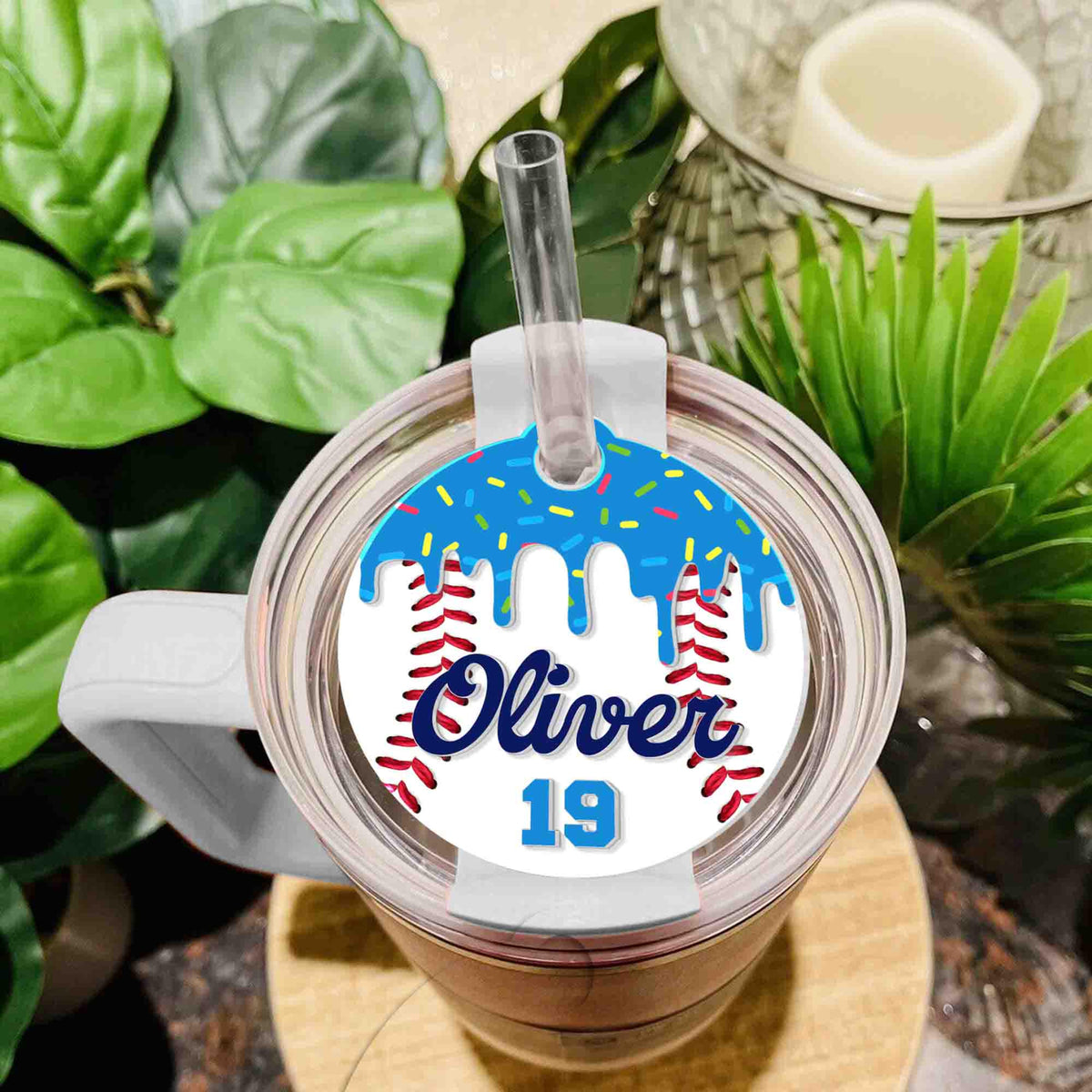 Personalized Baseball Lovers Gifts, Custom The Drip Baseball Tumbler Name Plate, Gift For Baseball Mom
