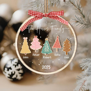 Family Christmas Ornament, Family Ornament, Christmas Ornaments, Personalized Christmas Ornament, Family Name Ornament, Family Keepsake 2025