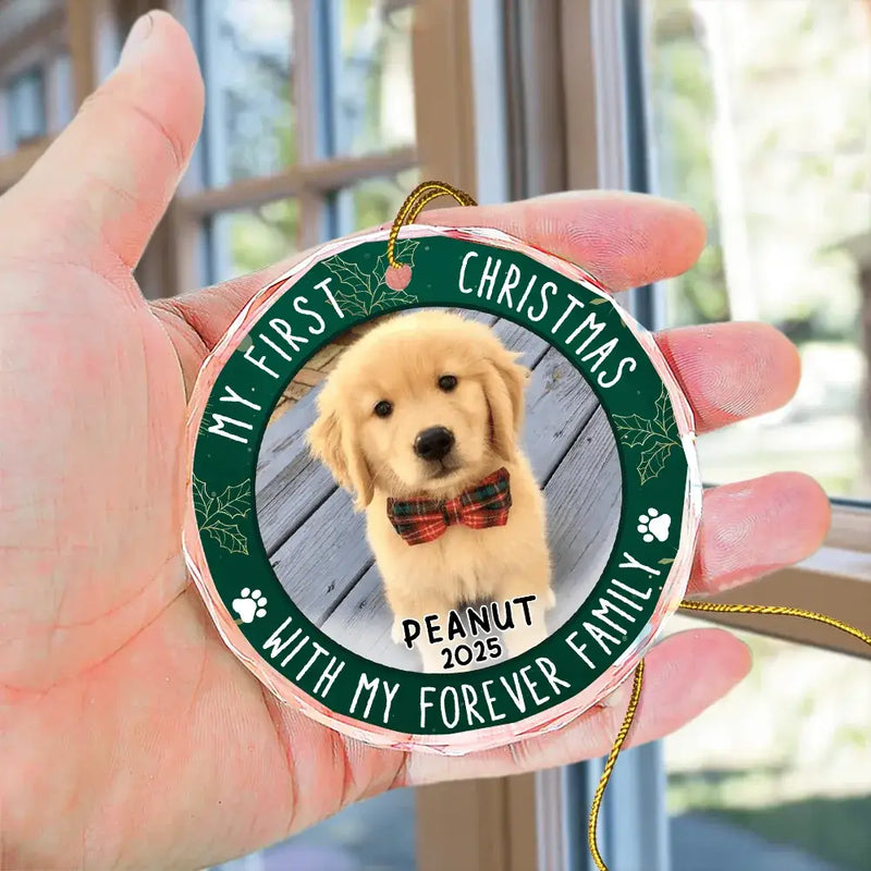 First Christmas With Family - Personalized Crystal Ornament - Gift For Pet Lovers